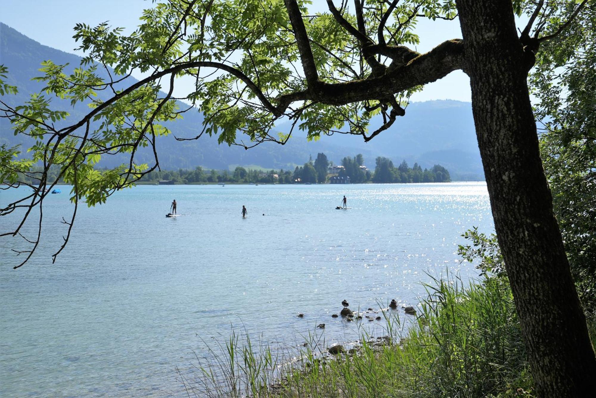 Bergblick 411 Am Wolfgangsee Щробл Стая снимка